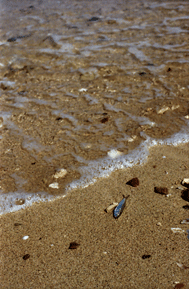 08_06_02_2.gif